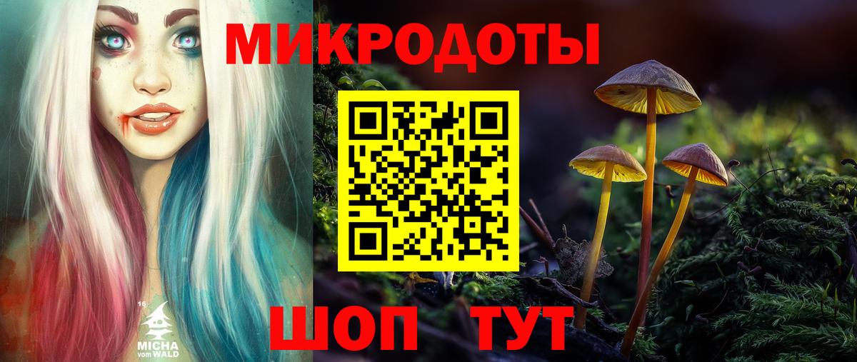 Псилоцибиновые грибы мицелий  хочу наркоту  Скопин  Вход с VPN 